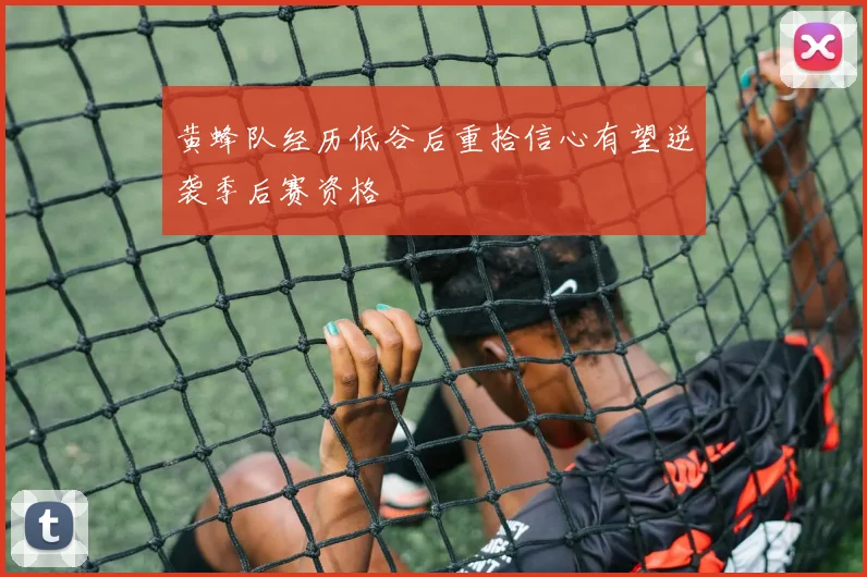 黄蜂队经历低谷后重拾信心有望逆袭季后赛资格