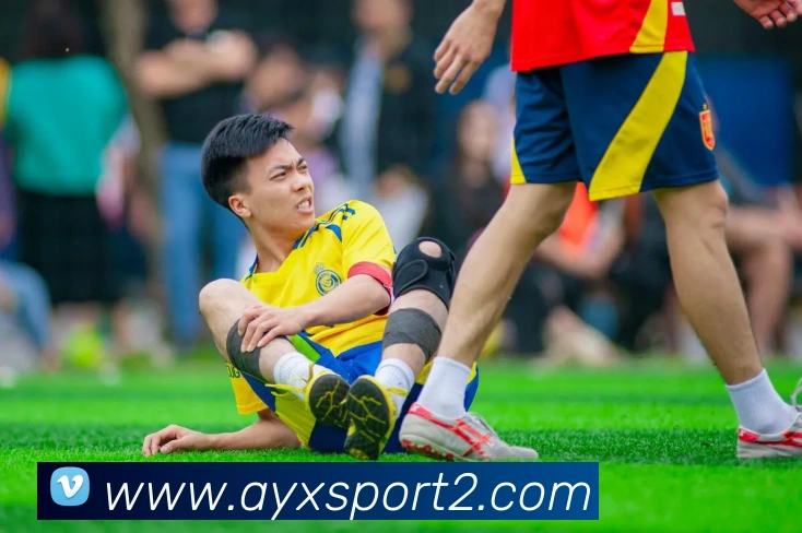 爱游戏体育APP 封面图