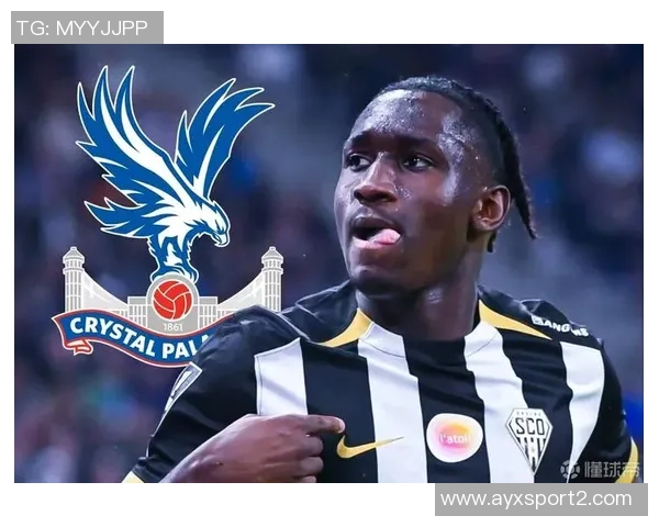 前水晶宫老板遭9700万美元索赔多家俱乐部集团陷入财务危机